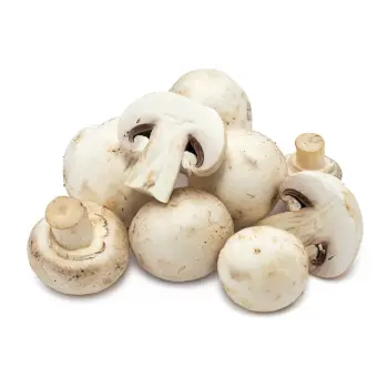 mushroom (4)-4561906-87678.webp